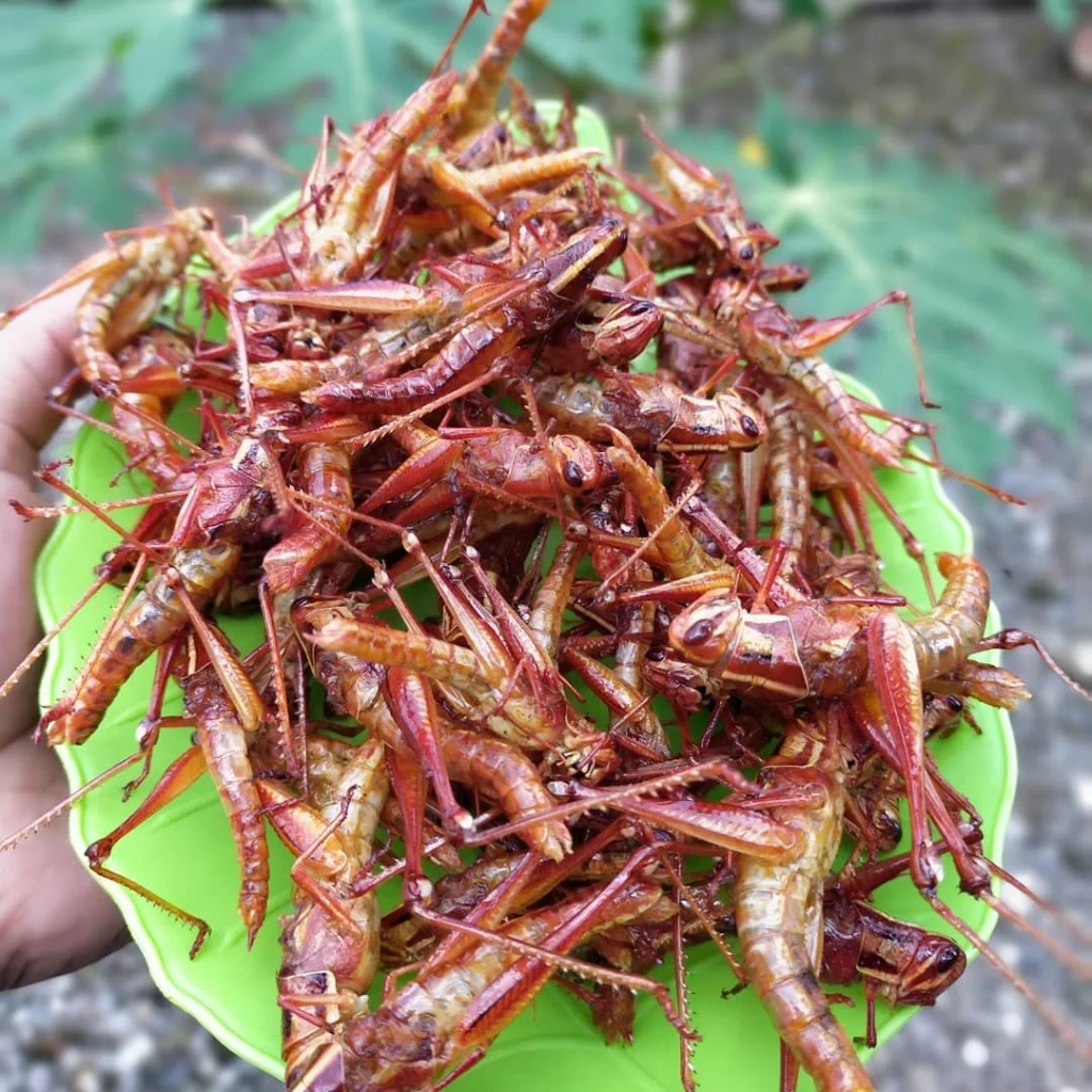 walang goreng jogja
