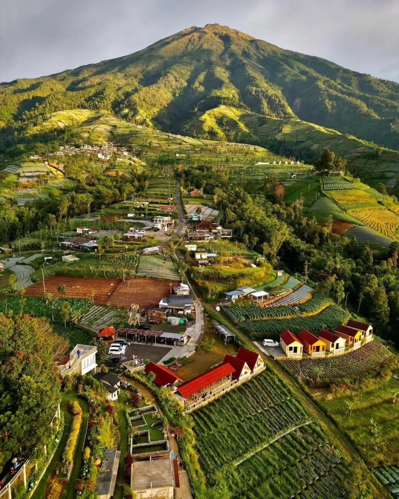 silancur highland
