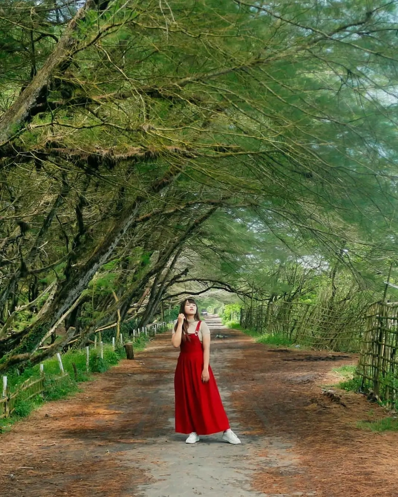 Pantai Goa Cemara